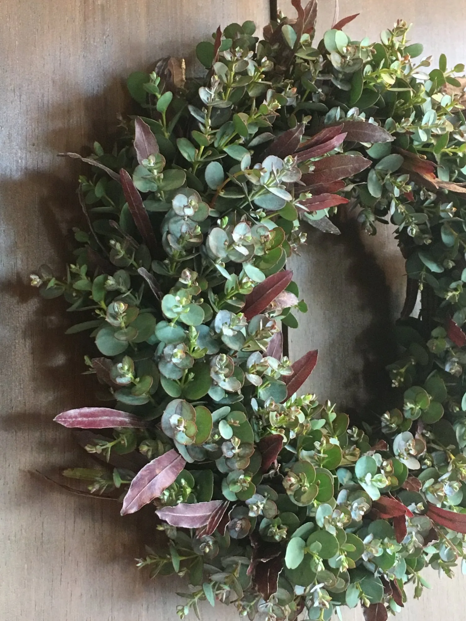 ユーカリのナチュラルリース