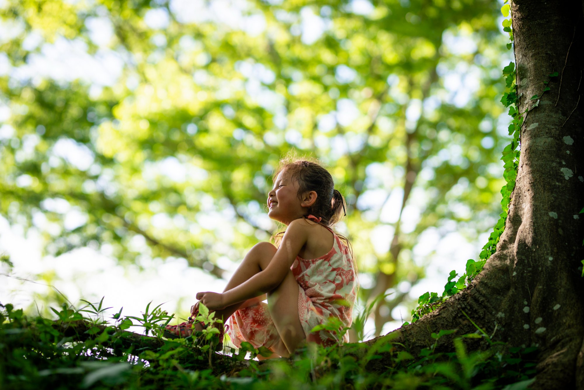 季節の花を使ったフラワーアレンジメント
