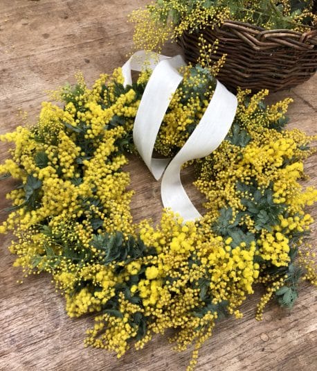 ミモザは女性への感謝を伝える花