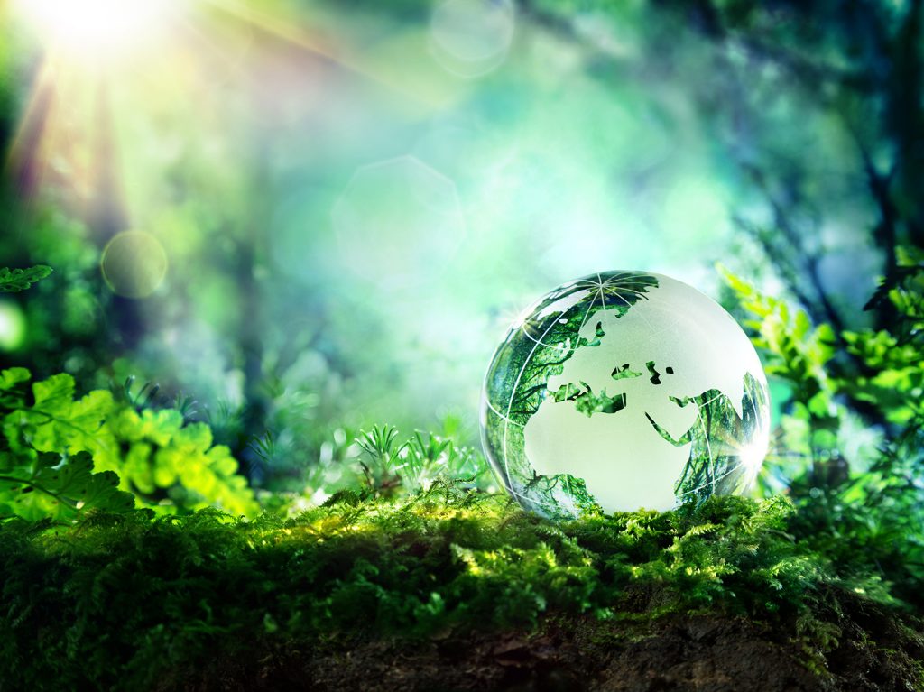 世界の緑化につながるプロジェクト「plaNTnetのある風景」とは？