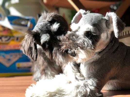 新・ラジオ時代の幕開けに、５％ラジオが伝えたいこと。