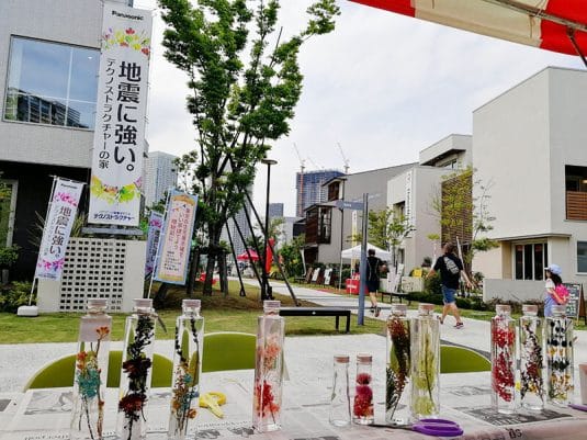 キャナリーゼの街、豊洲で植物に癒される。