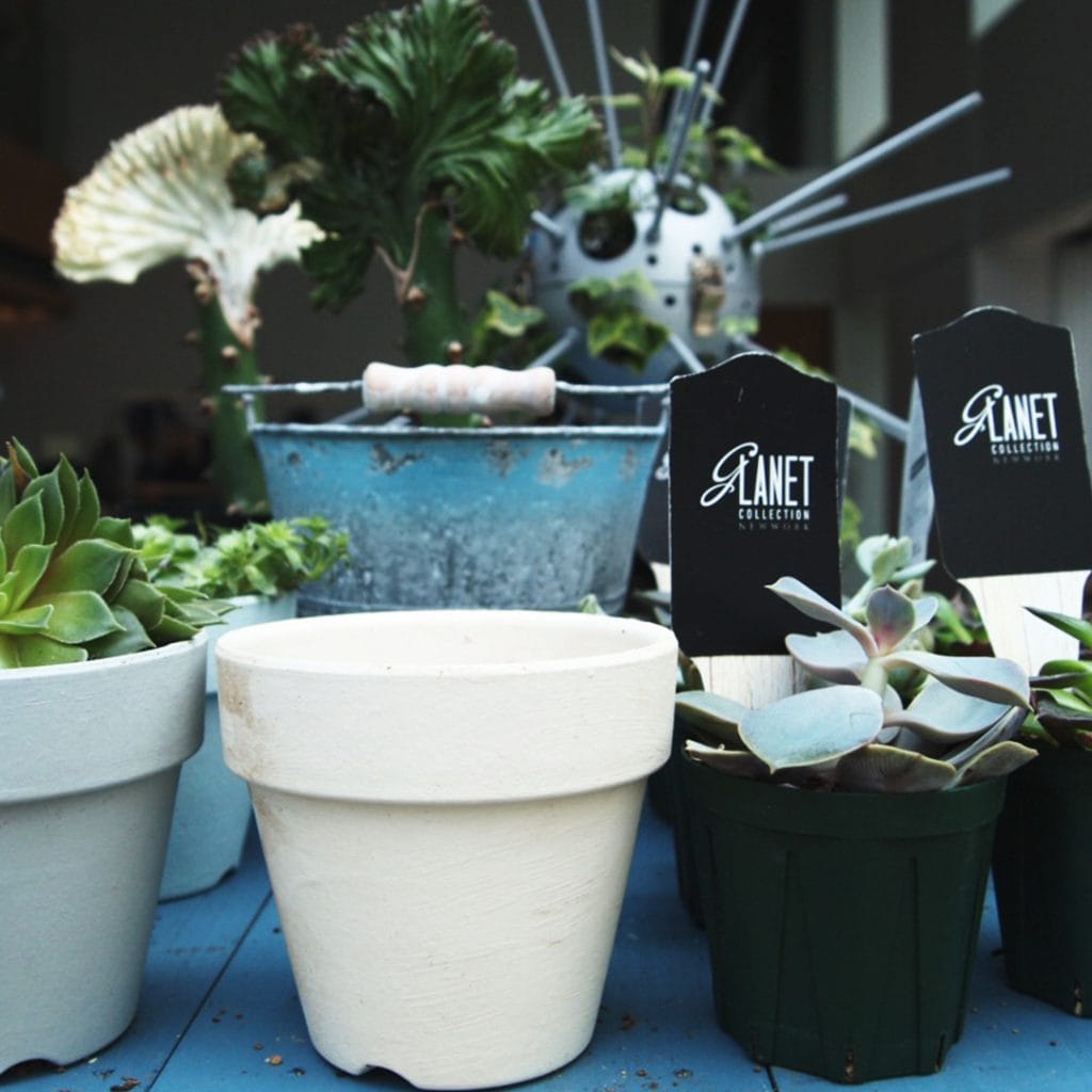 Glanet collectionの夏休みワークショップ！植物アート＊草花でdrowing＊@3331 Arts Chiyoda　2018/7/22