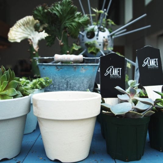 Glanet collectionの夏休みワークショップ！植物アート＊草花でdrowing＊@3331 Arts Chiyoda　2018/7/22