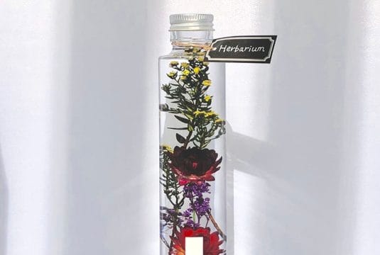 ズボラさんでも大丈夫！ハーバリウムで花のある暮らしを楽しもう