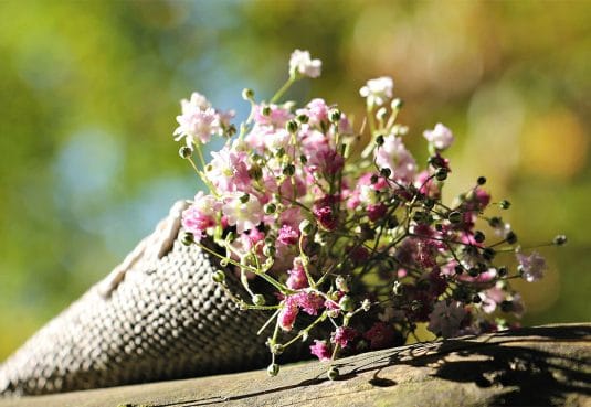 可愛いをたっぷり詰め込もう♡『ドライフラワー図鑑：可愛いドライフラワー編』