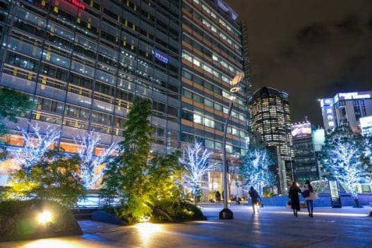 植物は緑って誰が決めた？夜の六本木でクリエイティビティを刺激せよ！