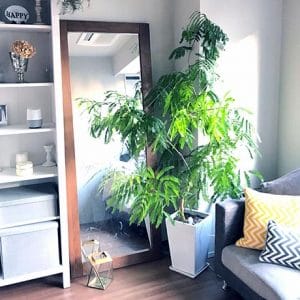 【期間別】留守中も安心、留守中の水やり方法。少しでも長く水を保たせるコツも