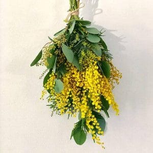 春のギフト、ミモザアカシアのインテリア-育て方も紹介