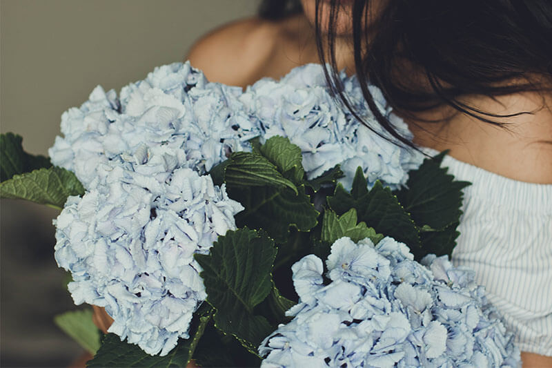 ジューンブライド 6月の結婚式に人気の花11選 装花の頼み方 ワークショップgc