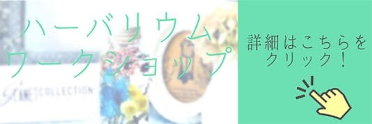 ハーバリウムとは？人気の理由と素材,使い方,注意点を解説