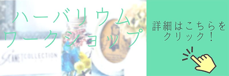 ハーバリウムとは？人気の理由と素材,使い方,注意点を解説
