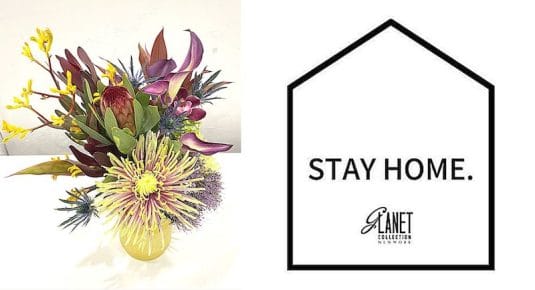 2020年 父の日のプレゼントは「おしゃれな花」を贈ろう