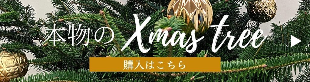 【海外のXmas】フランスのクリスマスに欠かせないもみの木、そのいわれとは？