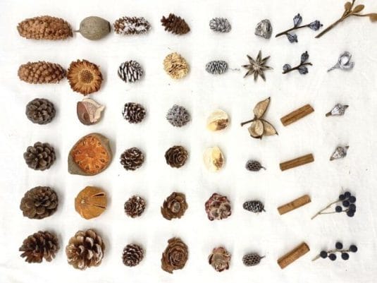 秋から冬へ、木の実リースのワークショップ開催【2021workshop】