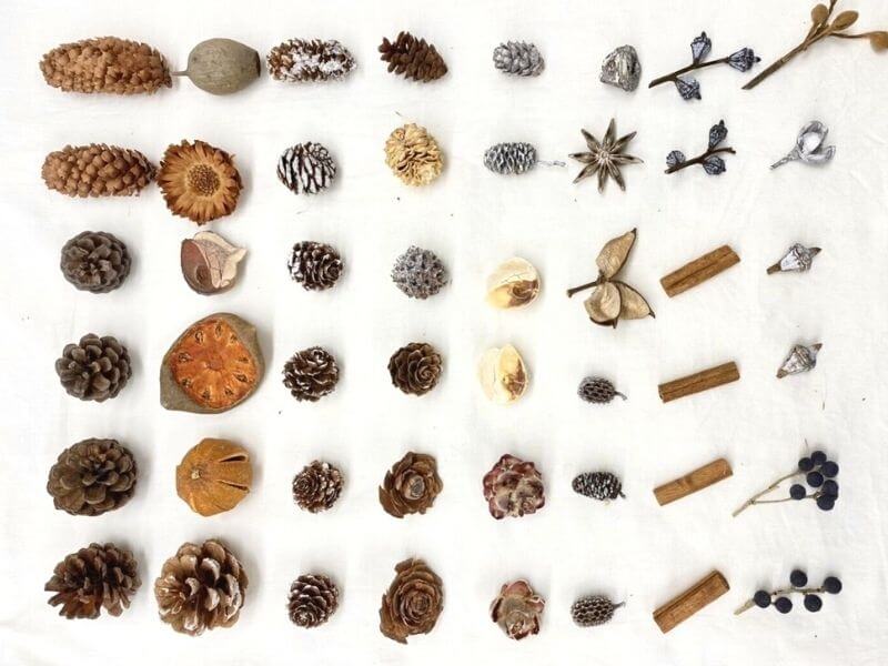 秋から冬へ、木の実リースのワークショップ開催【2021workshop】