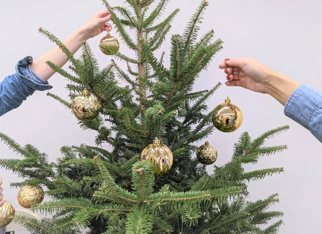 【クリスマスツリー2021】本物のもみの木で最高のおうちクリスマス