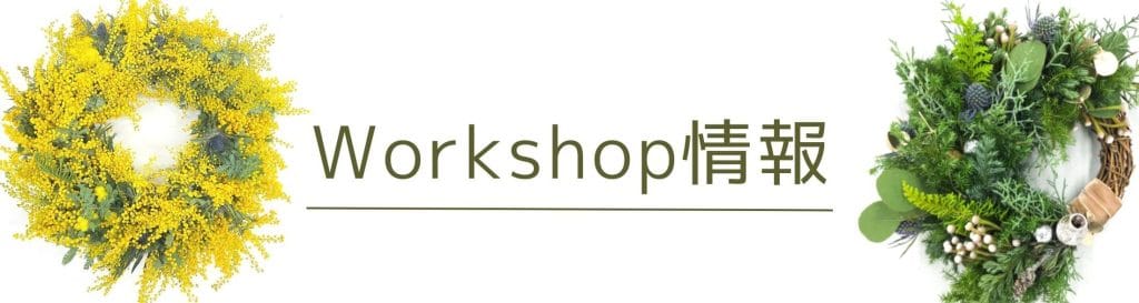 ミモザの日って？ミモザの花が愛される理由と花言葉も紹介