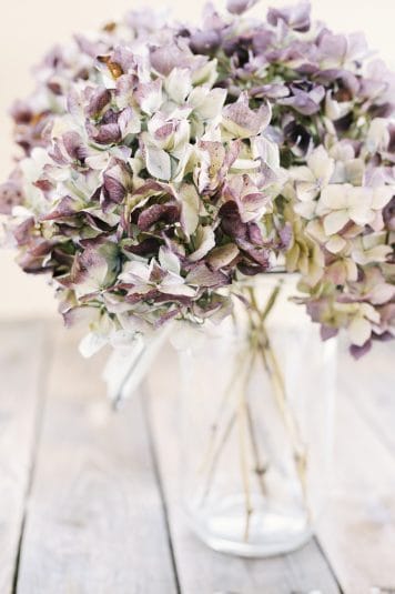 インテリアのテイストに合わせたドライフラワーの選び方