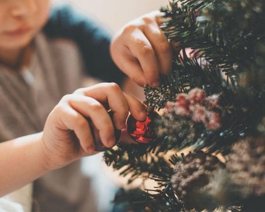 【2023Xmas】本物のクリスマスツリーが欲しい！生もみの木の購入方法