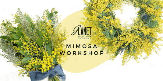 【2024Spring】ミモザのワークショップ