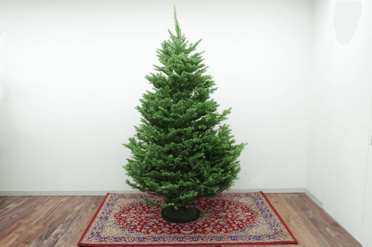 木の実とプリザのXmasリースワークショップ@麻布台ヒルズ  グリーン・サム・マーケット