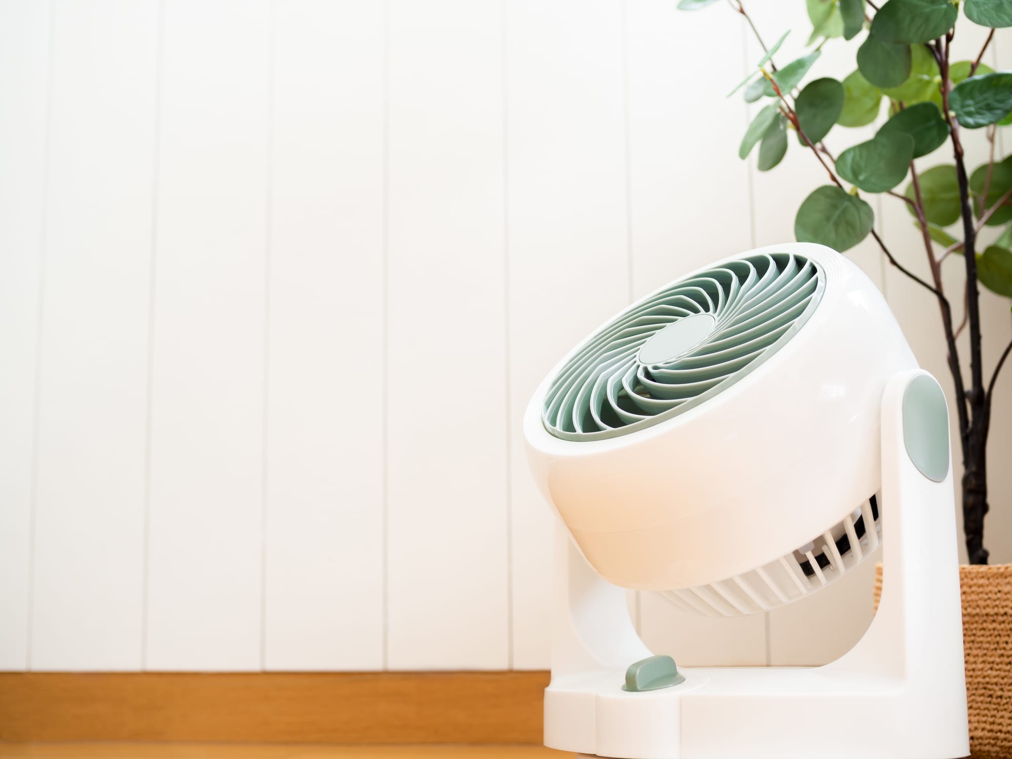 サーキュレーターで風通しを確保する植物のある部屋