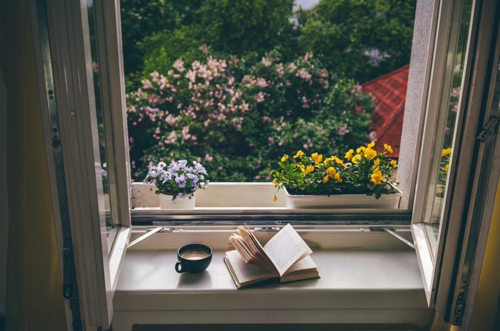 雨の日に読みたい｜植物と暮らすライフスタイルブックガイド